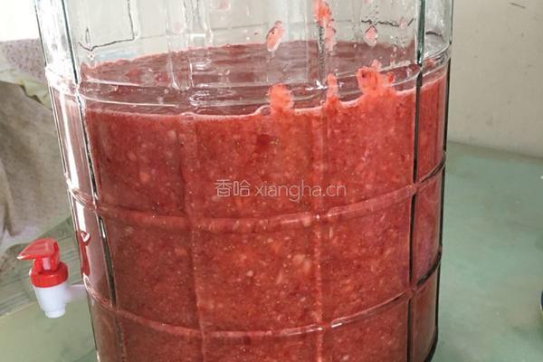 草莓酒的做法图解5