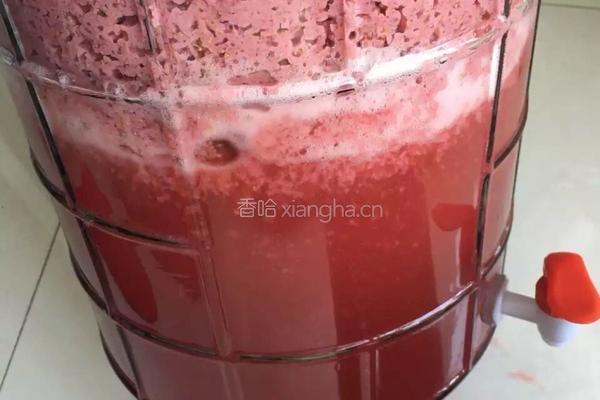 草莓酒的做法图解7