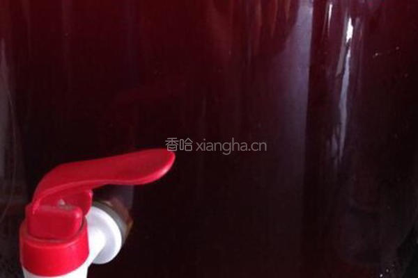 草莓酒的做法图解10