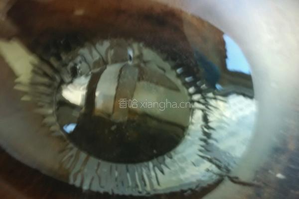红烧土豆胡罗卜的做法图解8