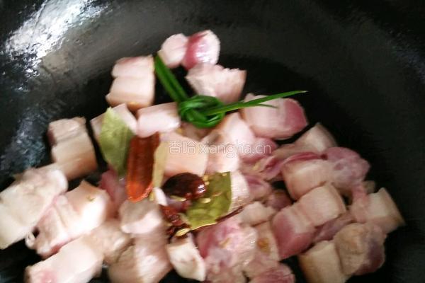 红烧肉盖浇饭的做法图解3