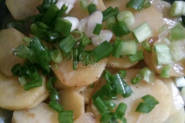 蚝油土豆片的做法图解8