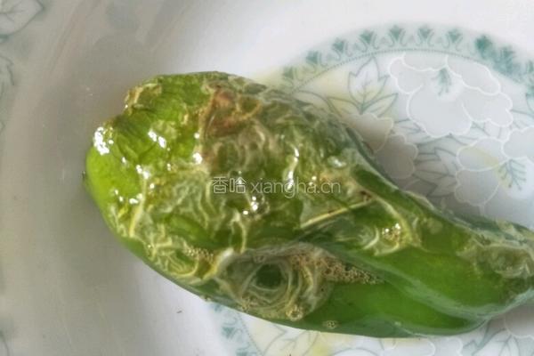 青椒灌肉的做法图解10