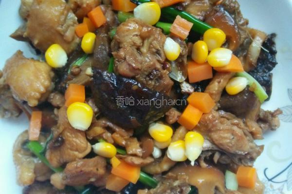 香菇闷鸡肉的做法图解8