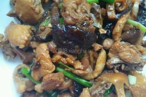 香菇闷鸡肉的做法图解7