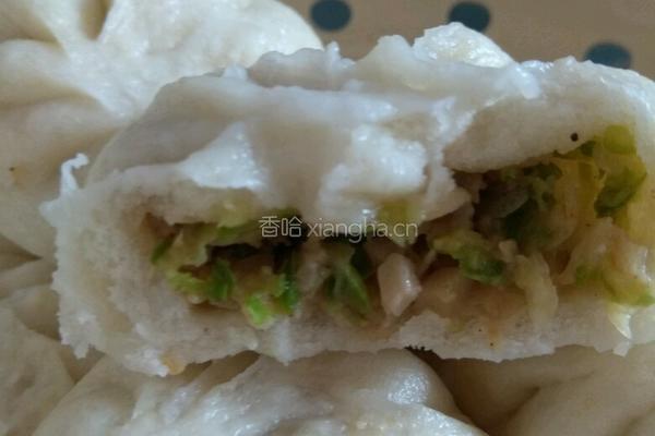 油渣西葫芦包子的做法图解21