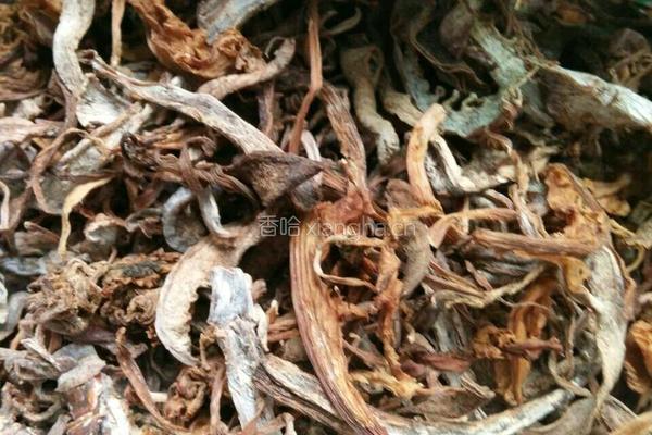 干菜肉的做法图解1