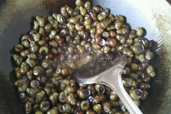 爆炒螺狮的做法图解3