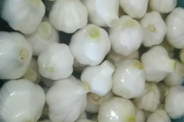 腌糖蒜的做法图解3