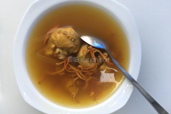 虫草花鸡汤(无油版)