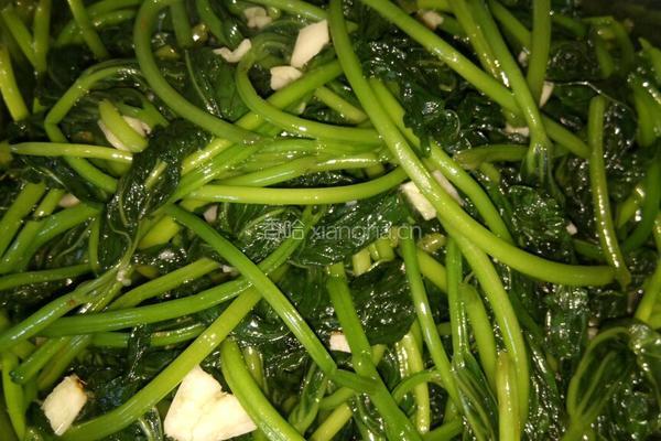 蒜炒红薯叶的做法图解4