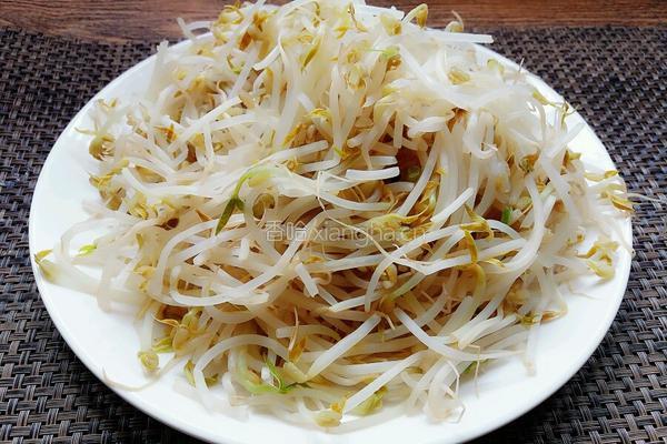 凉拌豆芽菜的做法图解2