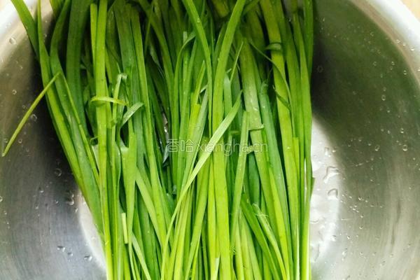 韭菜鸡蛋饼的做法图解1