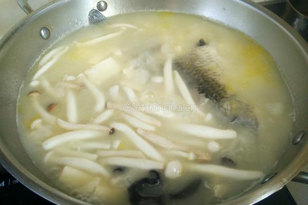 菌菇豆腐鲫鱼汤的做法图解8