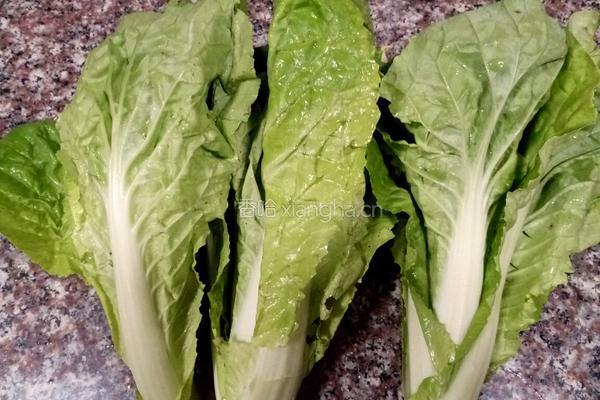清炒小白菜的做法图解1