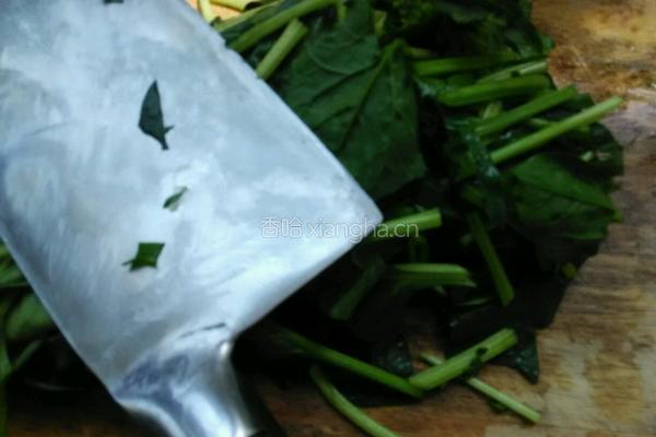 姜汁菠菜的做法图解2