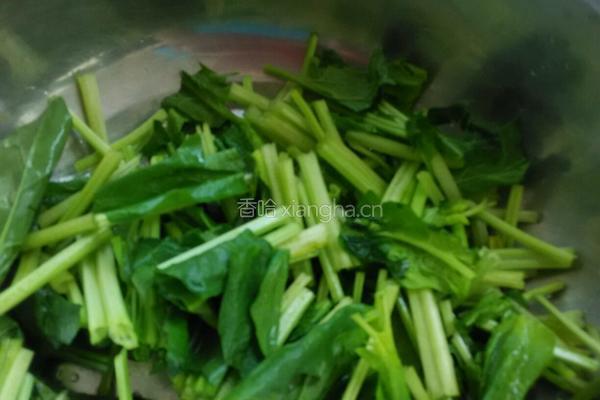 姜汁菠菜的做法图解3