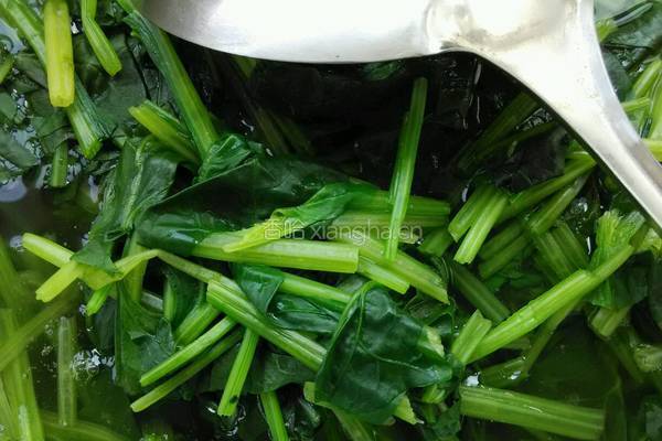 姜汁菠菜的做法图解5