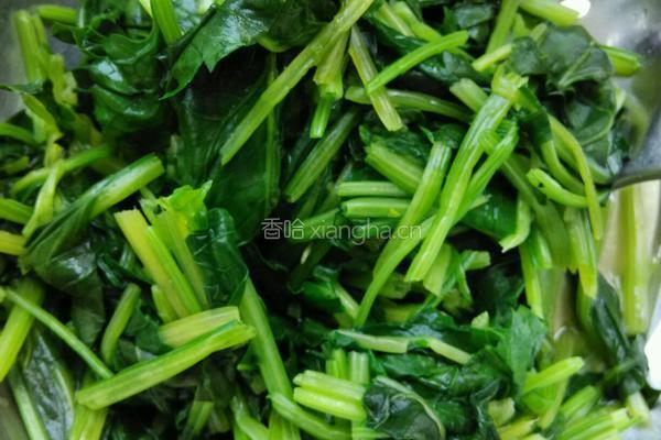姜汁菠菜的做法图解6