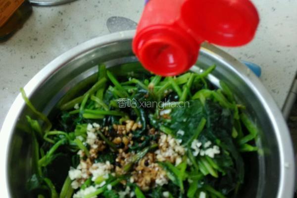 姜汁菠菜的做法图解12