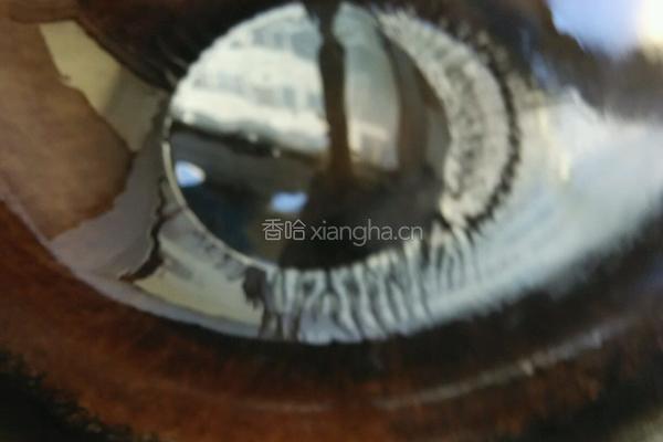 黄瓜胡罗卜炒鸡蛋的做法图解10