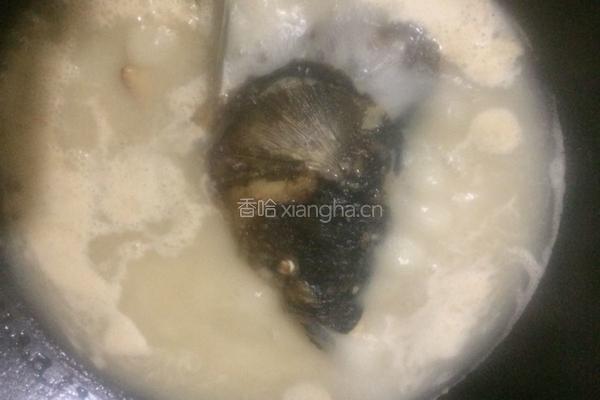 番茄豆腐鱼头汤的做法图解5