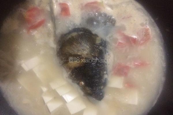 番茄豆腐鱼头汤的做法图解6