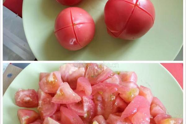 番茄牛腩饭的做法图解1