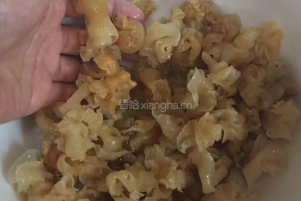 花胶牛奶的做法图解1