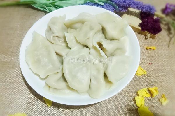 胡萝卜香菇娃娃菜猪肉馅水饺的做法图解15