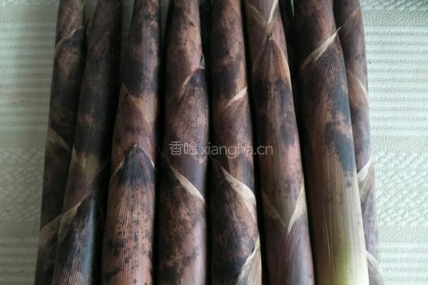 鲜笋肉丝的做法图解1