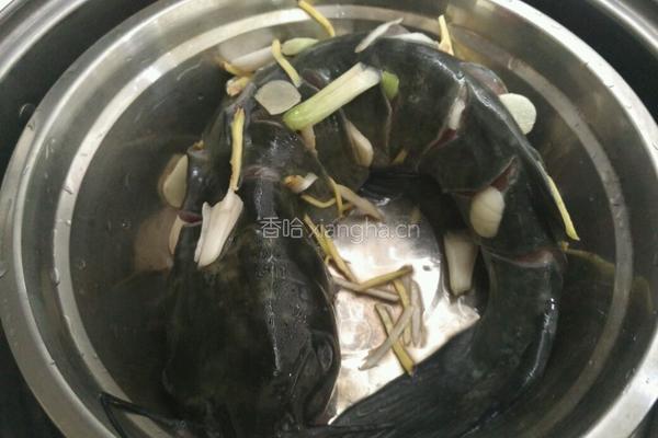 清蒸潜鱼的做法图解1