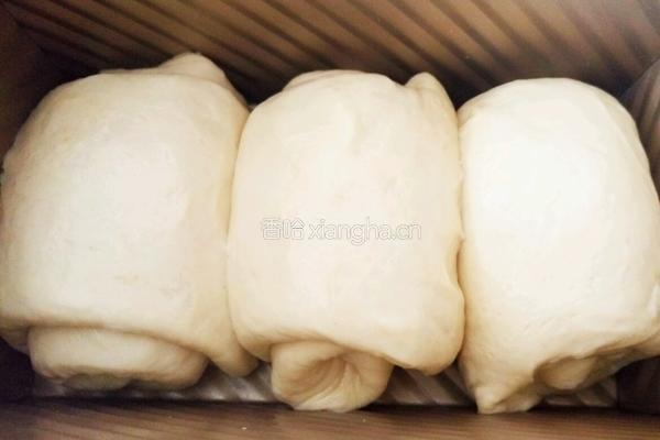 淡奶油奶香蜂蜜吐司（中种法）的做法图解17