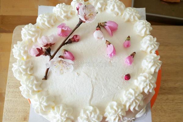 彩虹生日蛋糕的做法图解27