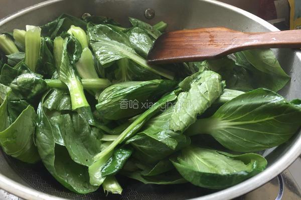 平菇炒青菜的做法图解3
