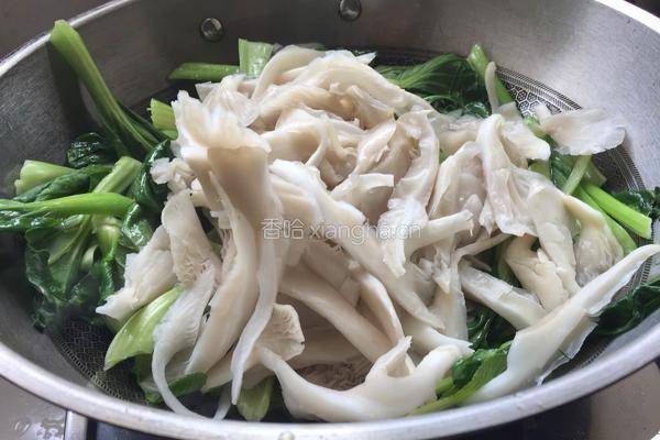 平菇炒青菜的做法图解4