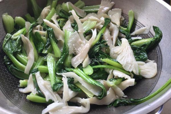平菇炒青菜的做法图解5