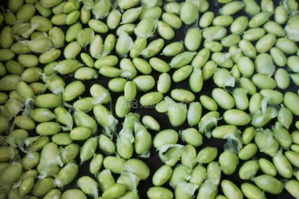 毛豆子炒茭白的做法图解5