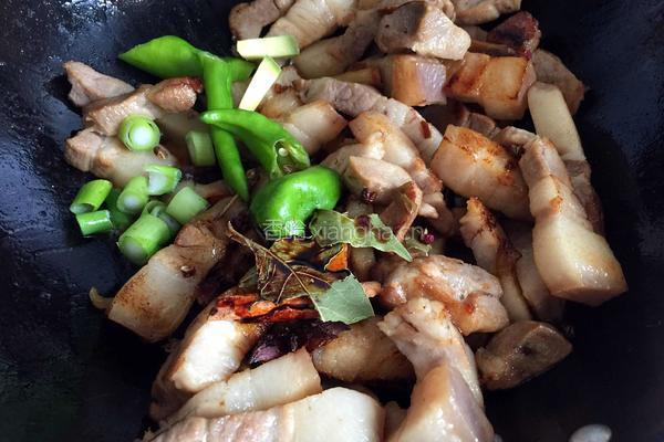 砂锅红烧肉的做法图解7