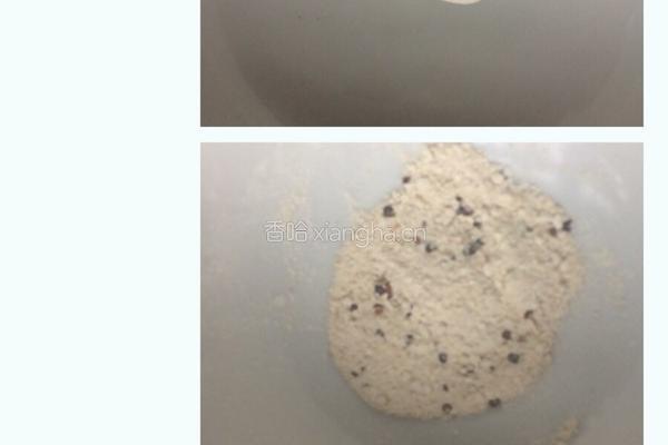 酒酿的做法图解2