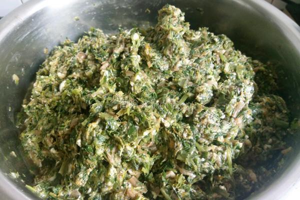 蒲公英馅蒸饺的做法图解4