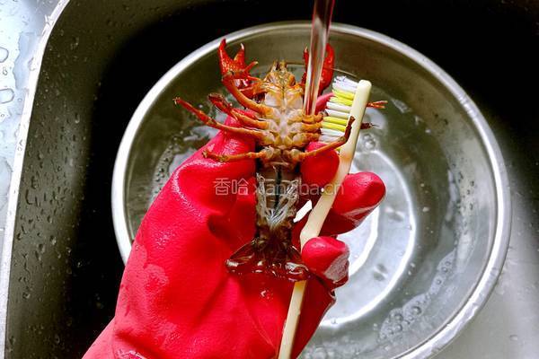 香辣小龙虾的做法图解2