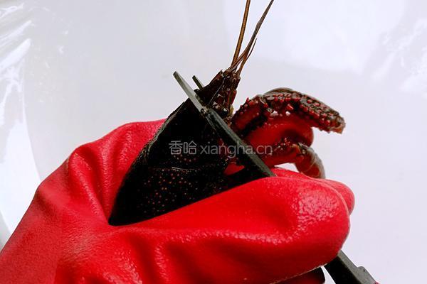 香辣小龙虾的做法图解9