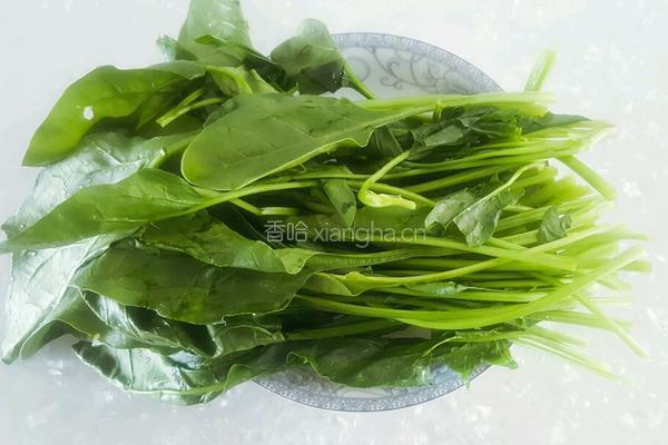炝拌菠菜汁面的做法图解3