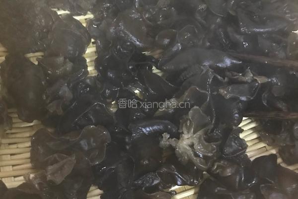 爽口木耳的做法图解4
