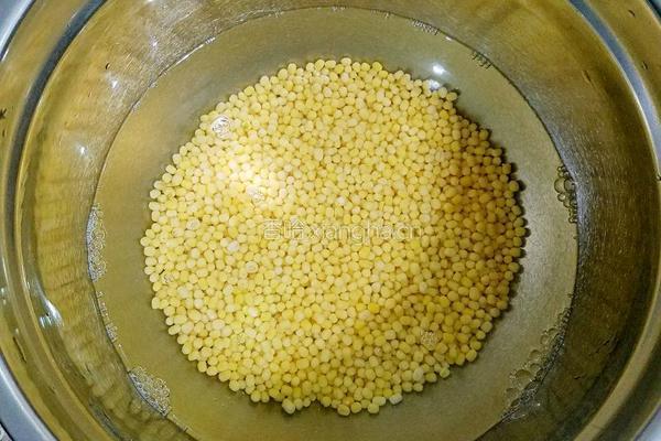 豆沙馅绿豆糕（最好吃没有之一）的做法图解1