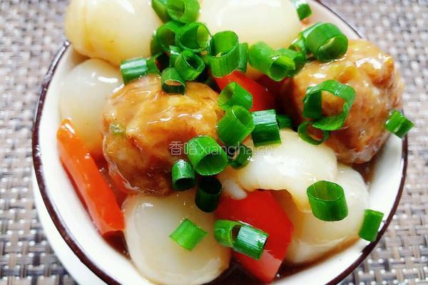 荔枝肉圆的做法图解10