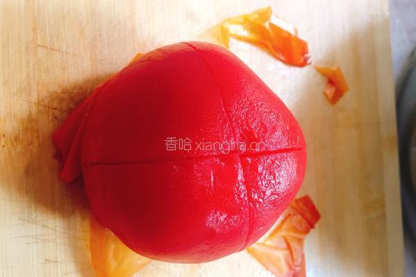 自制番茄沙司的做法图解5
