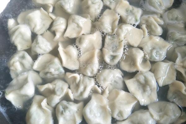 猪肉茴香馅饺子的做法图解7