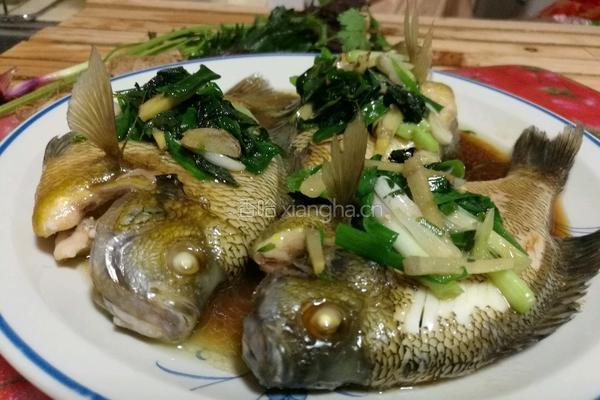 紫苏蒸太阳鱼的做法图解5